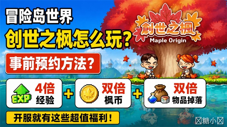 冒险岛私服开荒指南：从零开始选择职业与练级路线